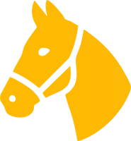 Cavalos